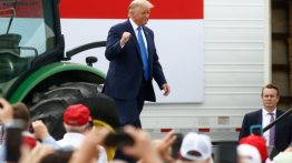 make america normal again