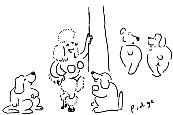 Must be the butcher’s dog they’re all talking about.