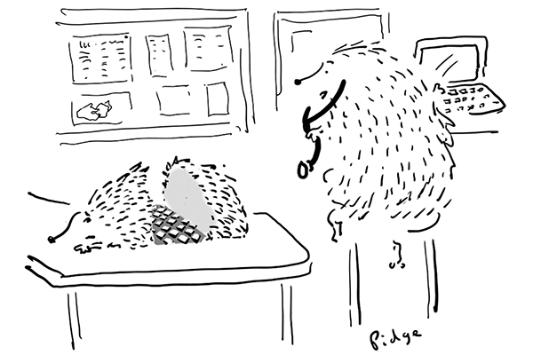 I told you you had more chance