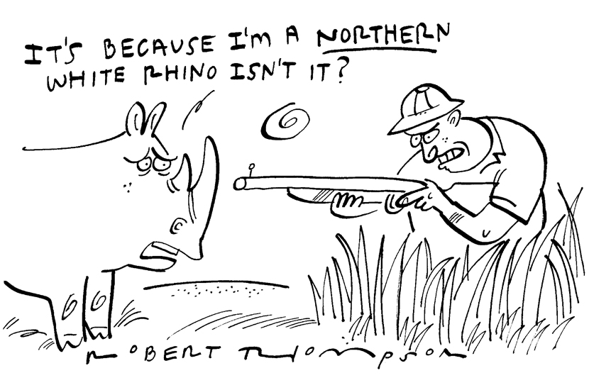 Northern White Rhino