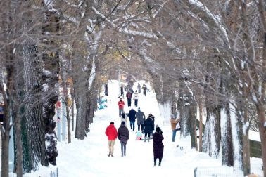 new york christmas digby dent