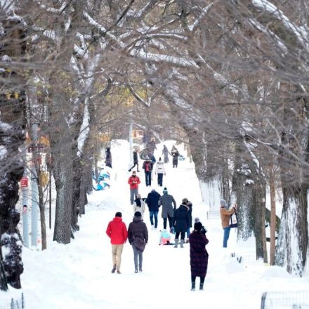 new york christmas digby dent