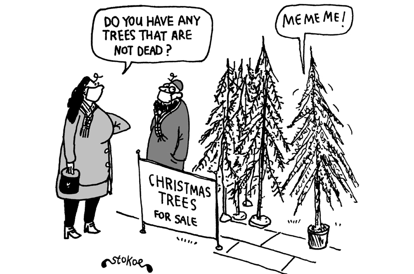 Do you have any trees that are not dead?