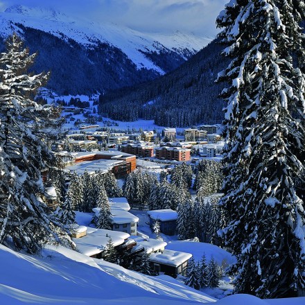 davos