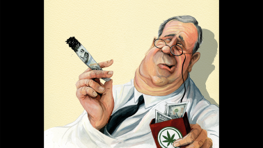 cannabis weed