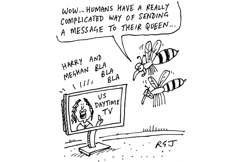 Message to their queen