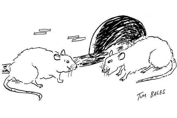 ‘It’s you, isn’t it