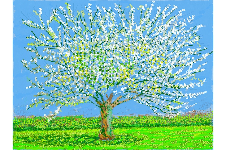 A new blossoming: David Hockney paints Normandy | The Spectator