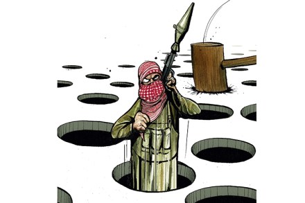 afghanistan iraq military