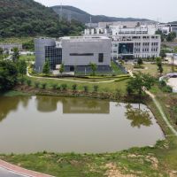 wuhan institute of virology lab theory