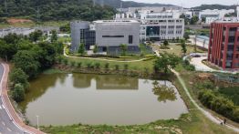 wuhan institute of virology lab theory