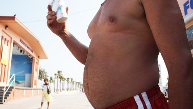fat america