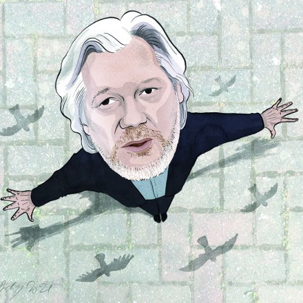 assange