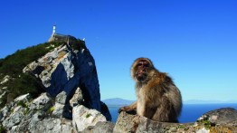 gibraltar
