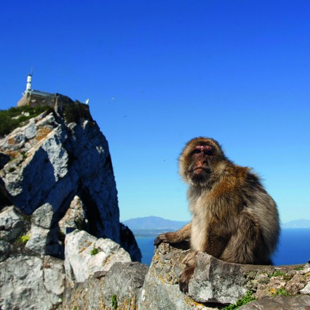 gibraltar