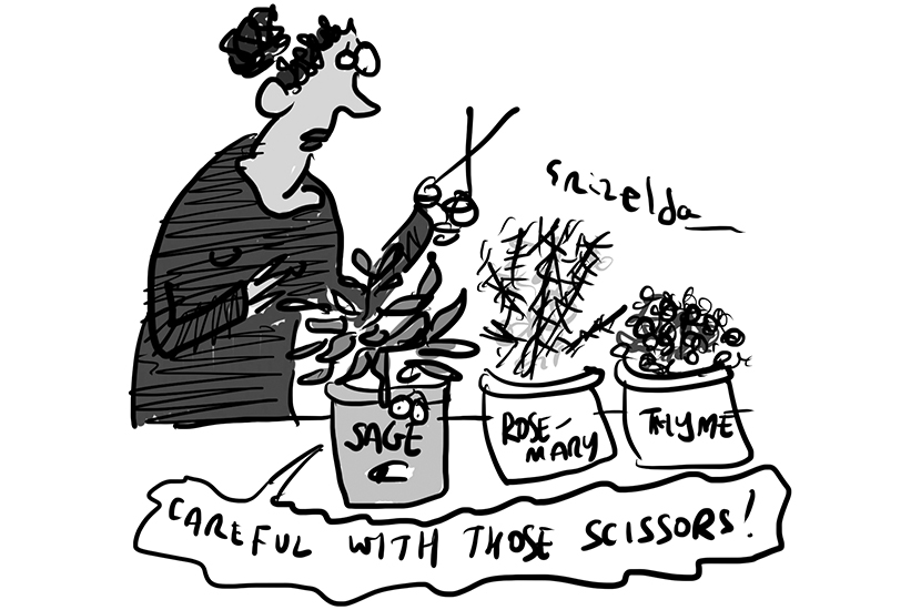 Careful with those scissors