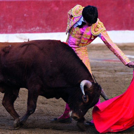 bullfighting