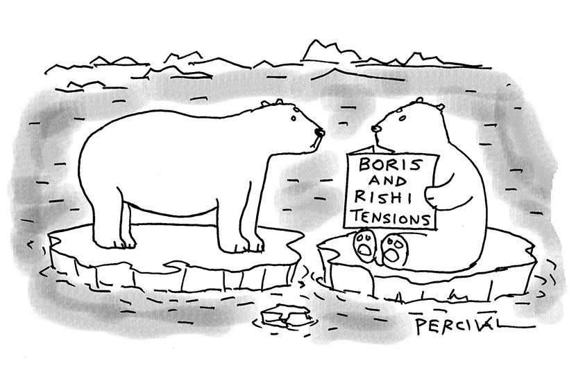 Boris and Rishi tensions