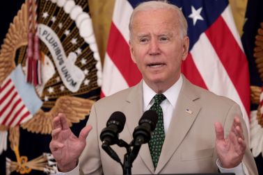 joe biden constitutional