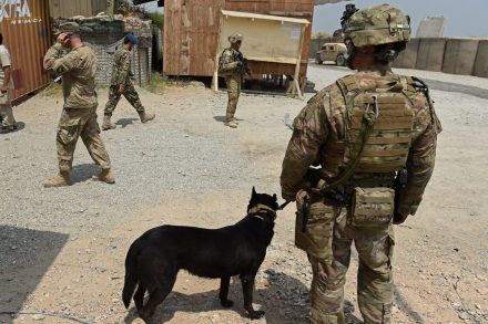 A US army soldier and military dog keep watch in Afghanistan (Getty Images)