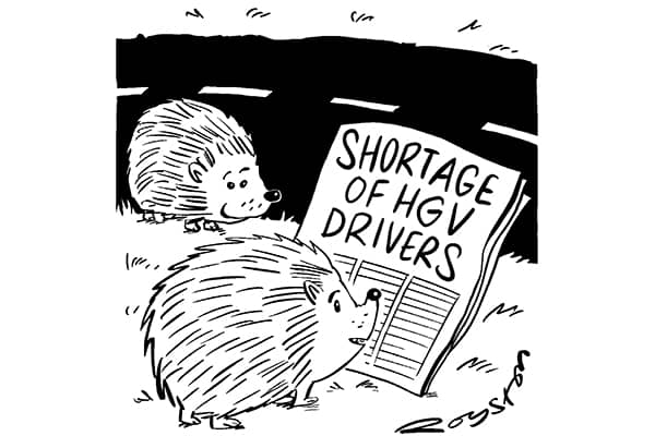 Finally some good news