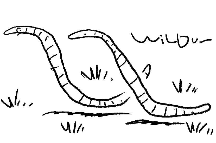 The early bird’s still working from home