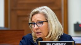 liz cheney