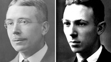 strunk white