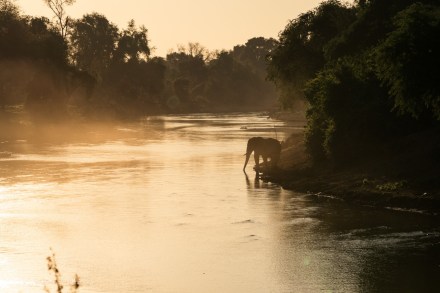 south africa shutdown