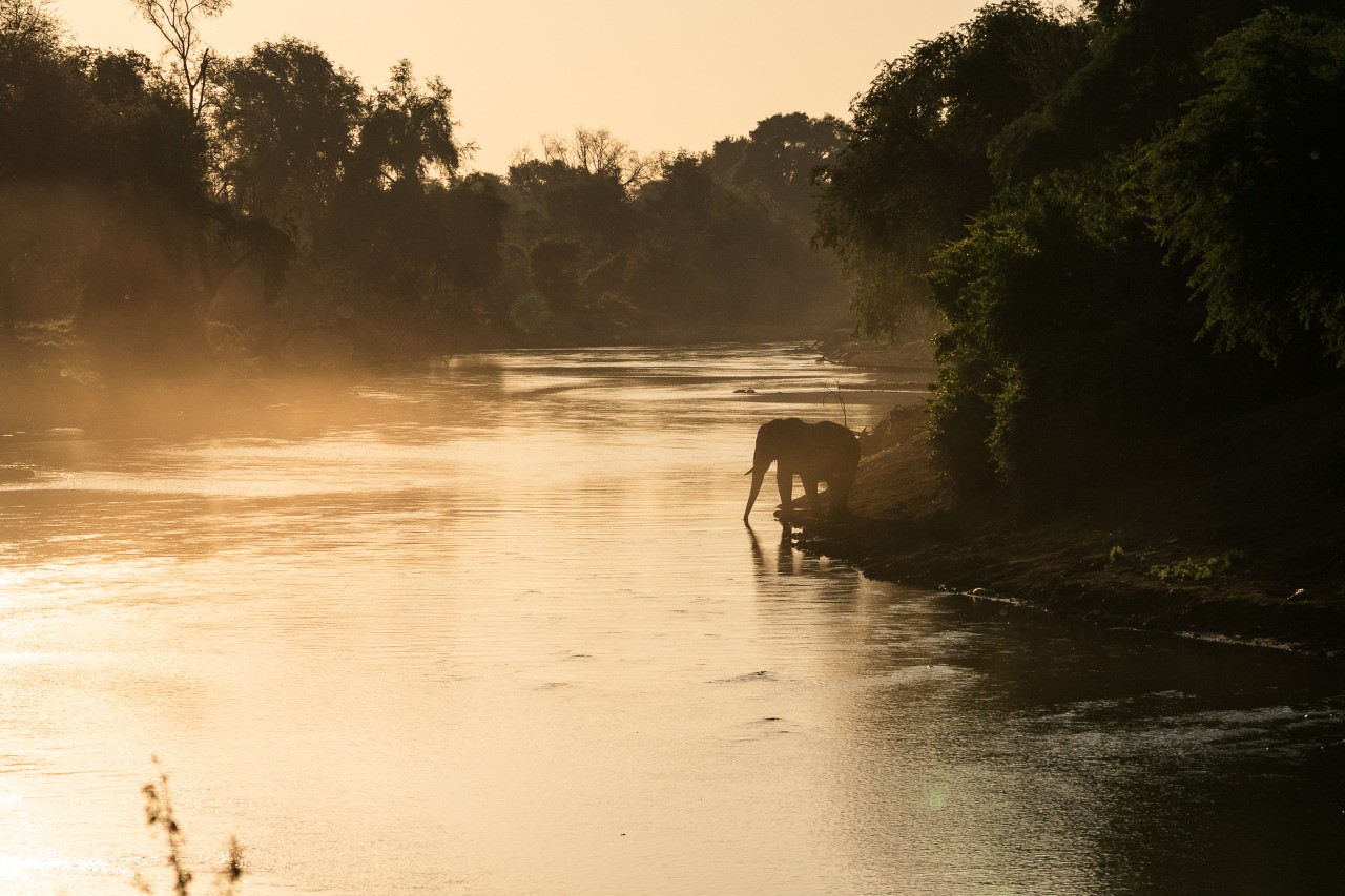 south africa shutdown