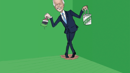 energy green biden