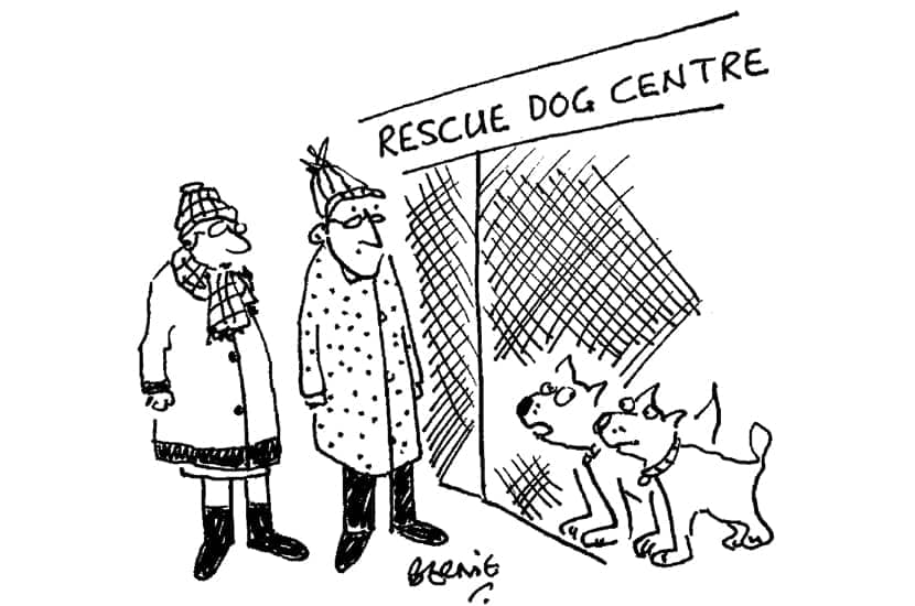 Don’t bother to look cute