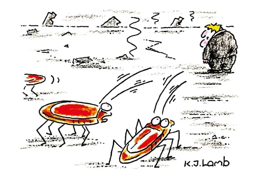 The world ended and only we survived