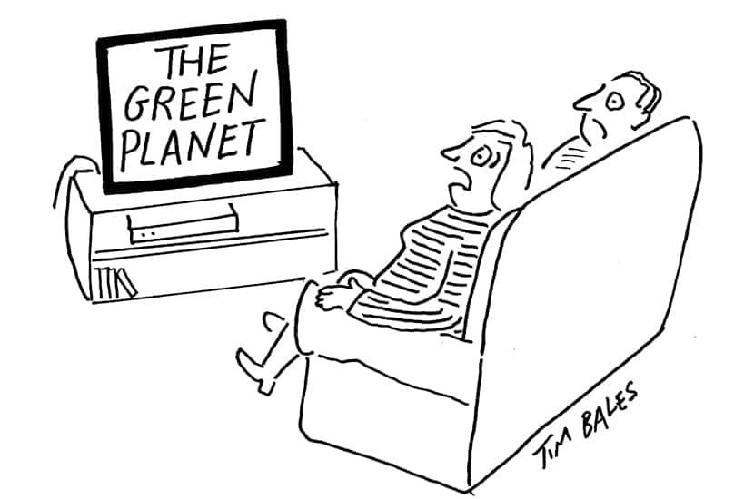 The green planet