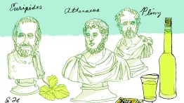 athenaeus