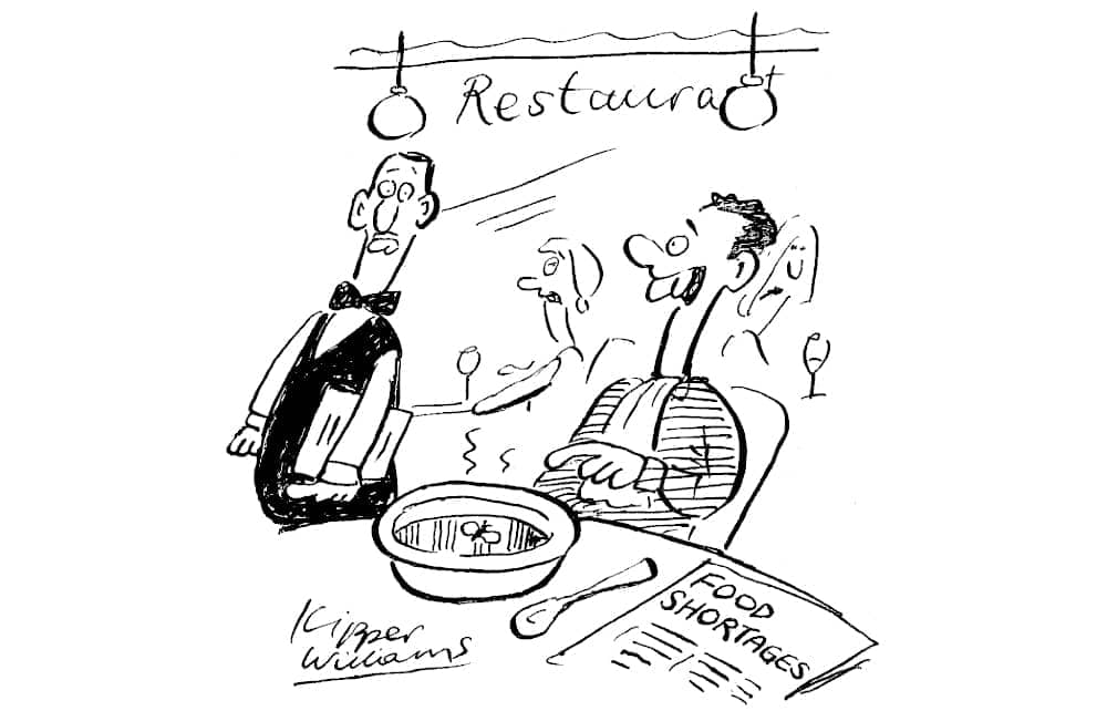 I’m in luck – there’s a fly in my soup