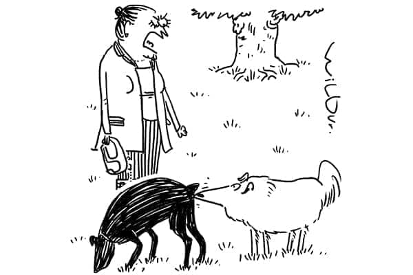 Max! You’re not in the House of Commons