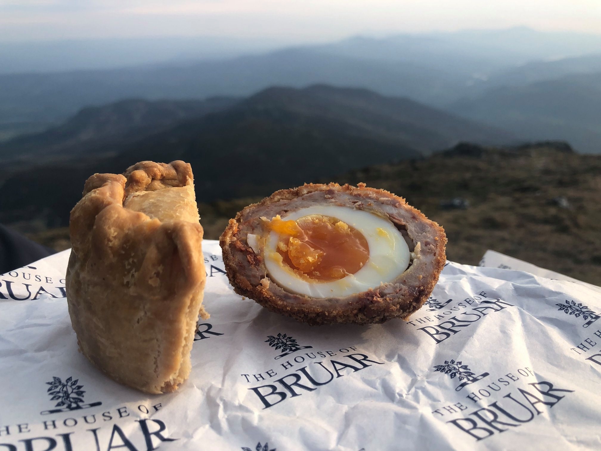 House_of_bruar_scotch_egg.jpg