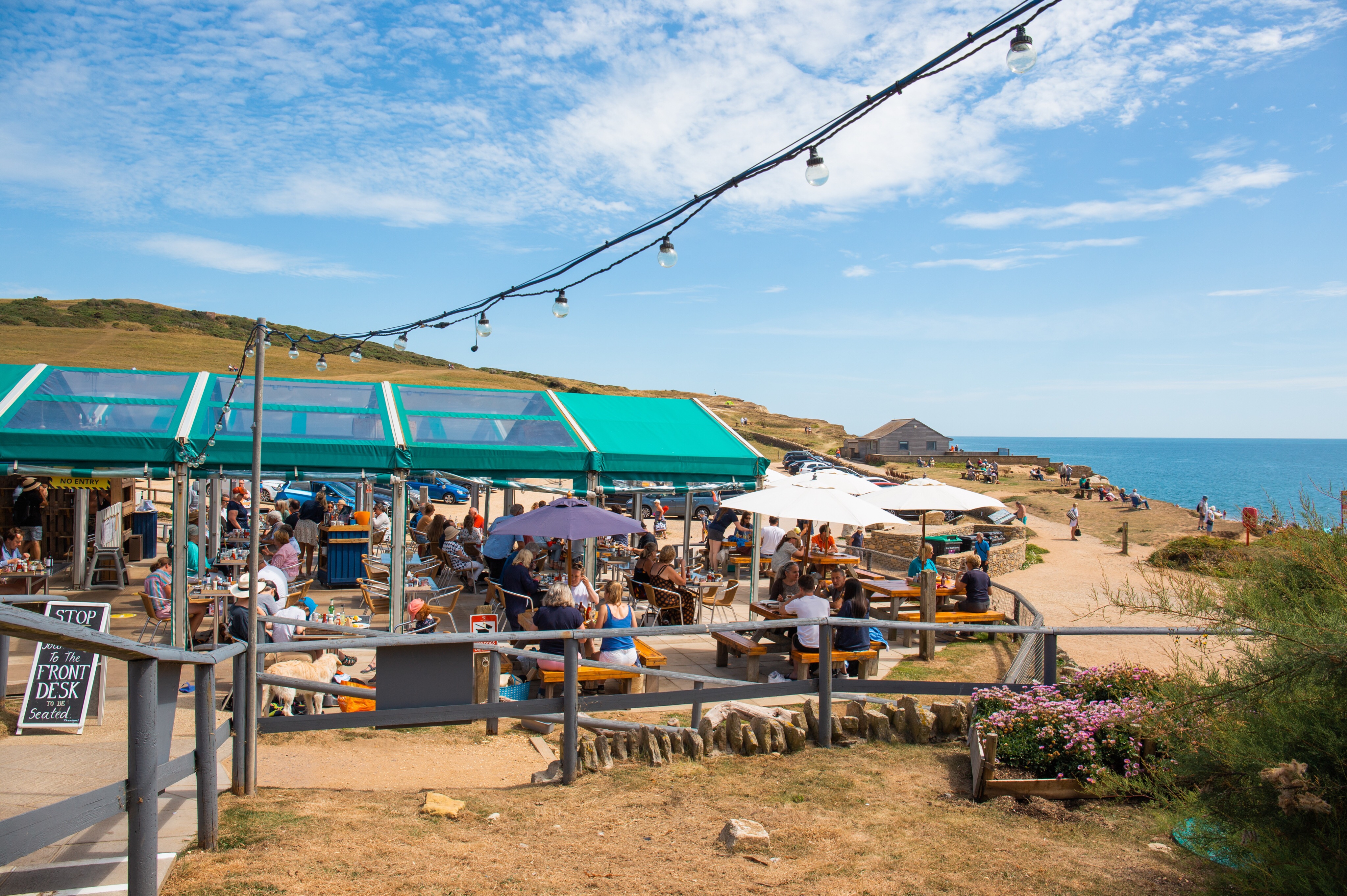 Hive_Beach_Cafe9.jpg