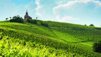 Beaujolais