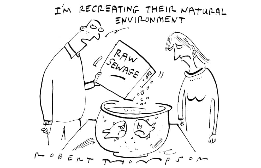 Recreating their natural environment