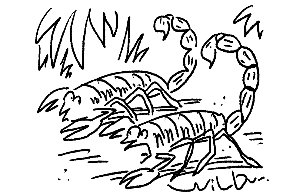 Since I stung Matt Hancock