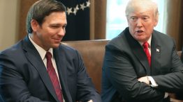 circular firing squad desantis influencers