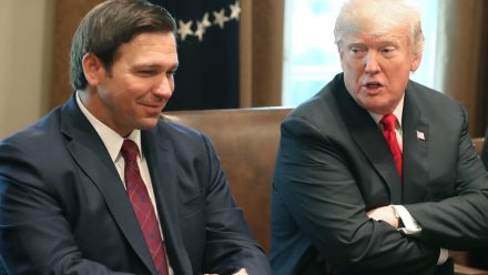 circular firing squad desantis influencers