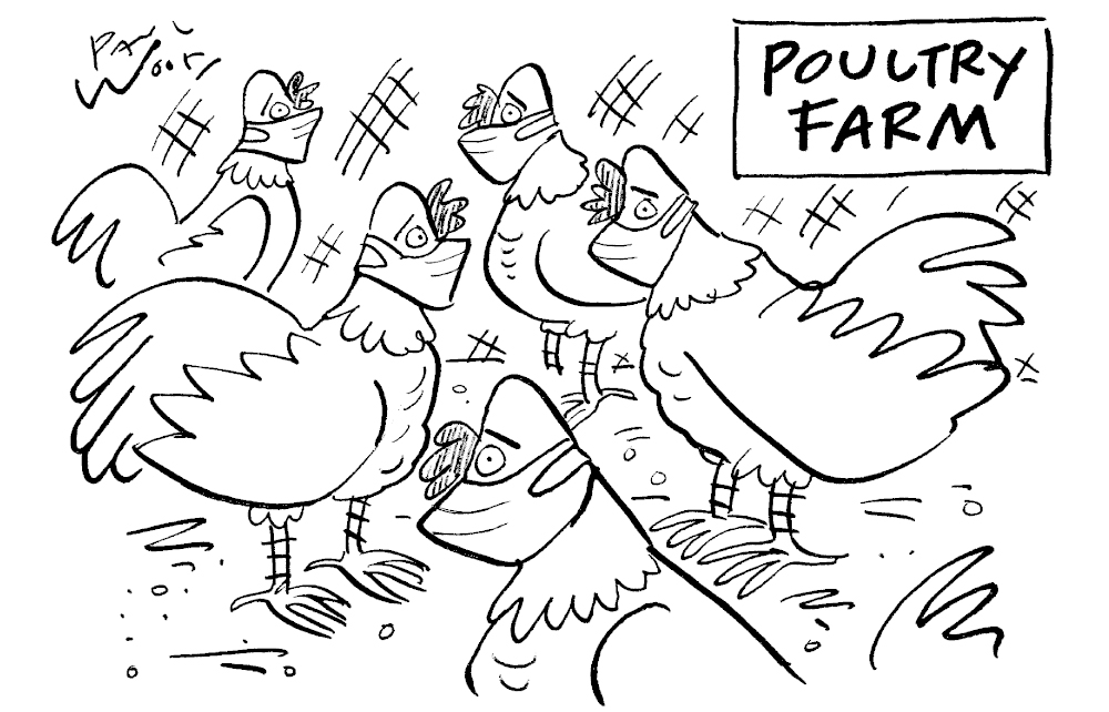 Poultry farm