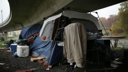 Tents are seen underneath an overpass at a tent encampment in Washington, DC. (Photo by Alex Wong/Getty Images)