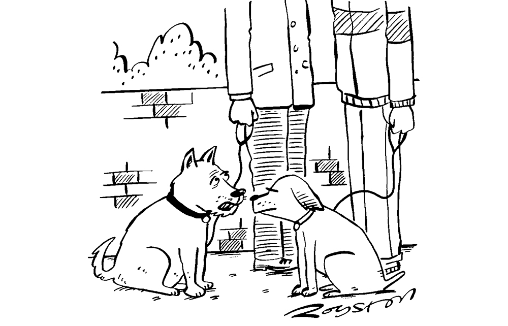 I’m not really a person dog