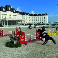 equestrian