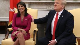 nikki haley
