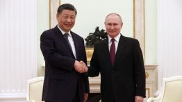 putin xi authoritarian bros
